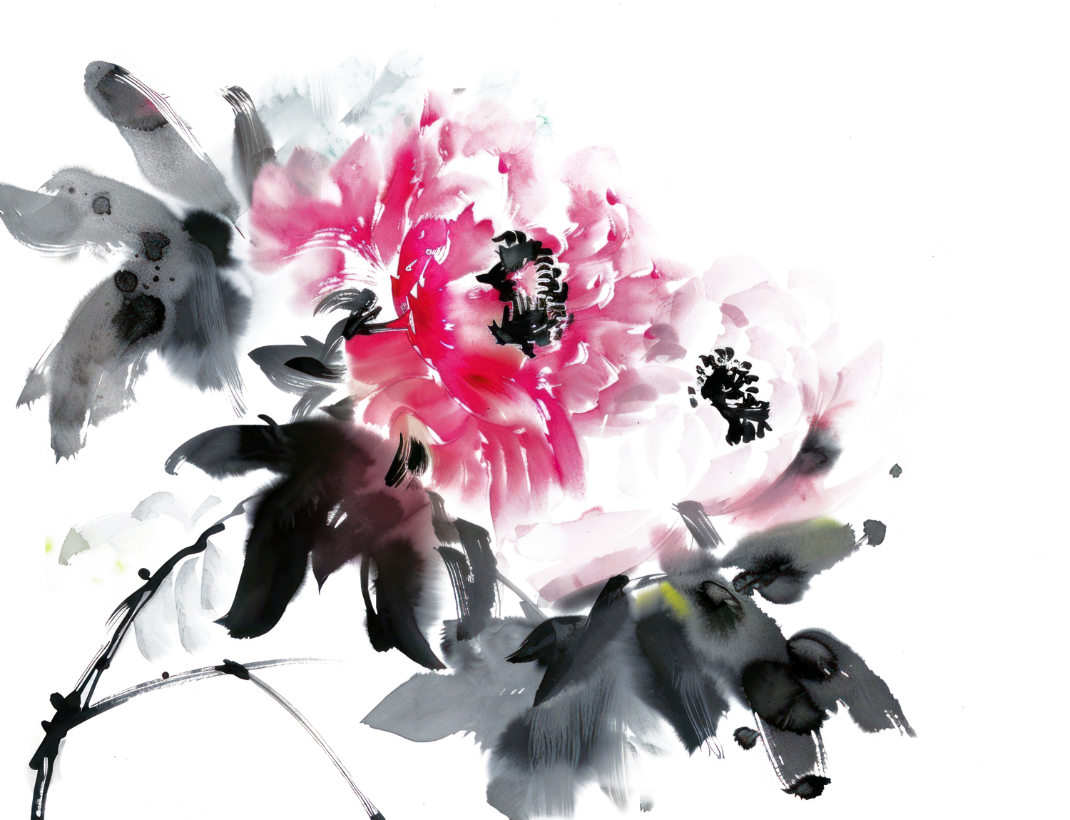 椿の画像