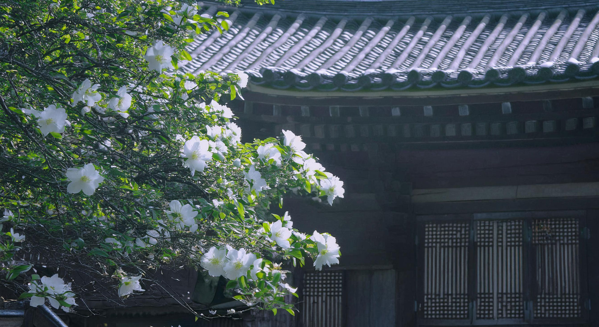 旅館